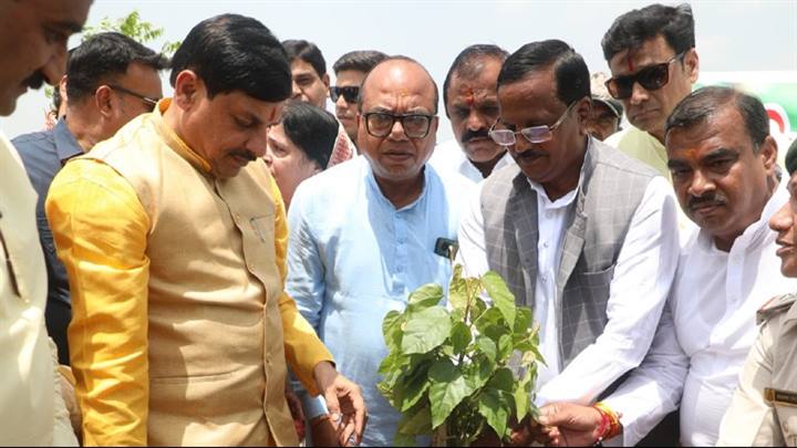 CM Dr. Yadav Planted Sindoor Sapling